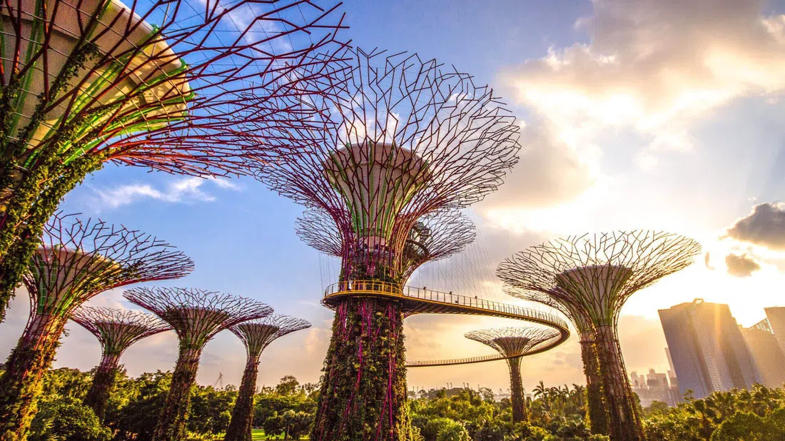 Gardens by the Bay, Singapore