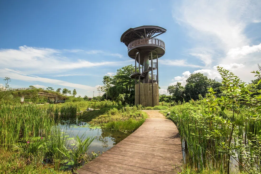 Kranji Marshes, Singapore