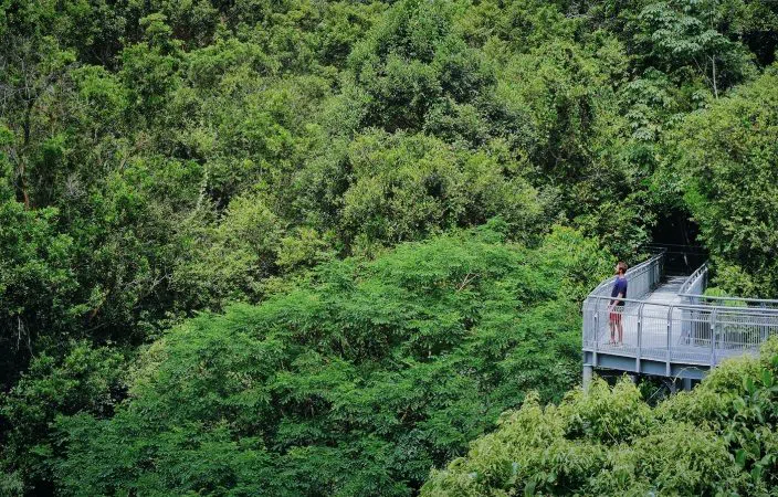 MacRitchie Reservoir Park (TreeTop Walk), Singapore