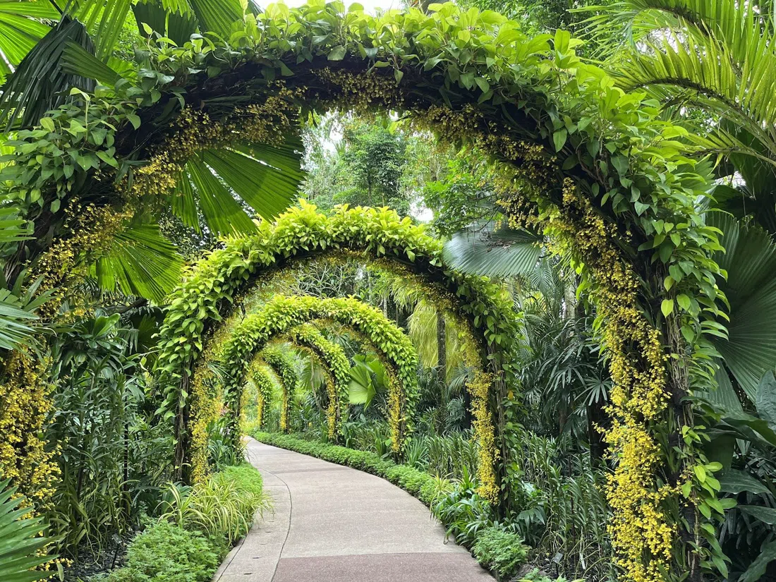 National Orchid Garden, Singapore