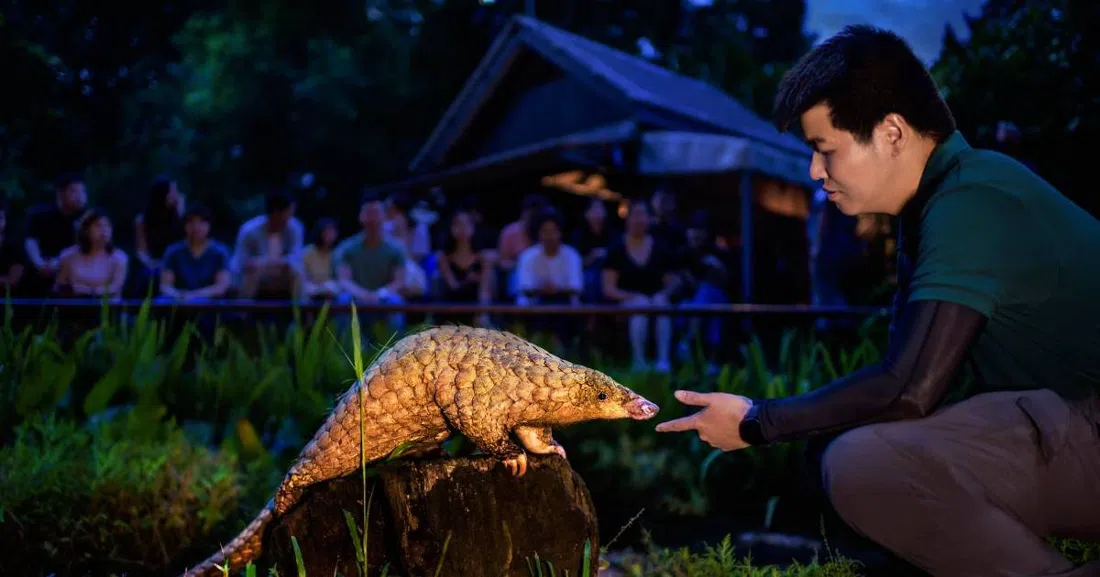 Night Safari, Singapore