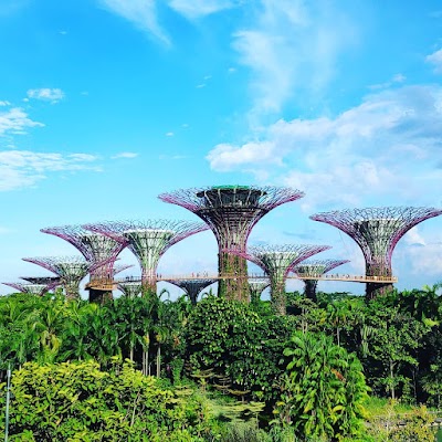 Gardens by the Bay