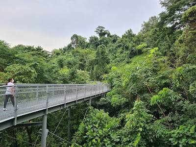 Walking the Southern Ridges